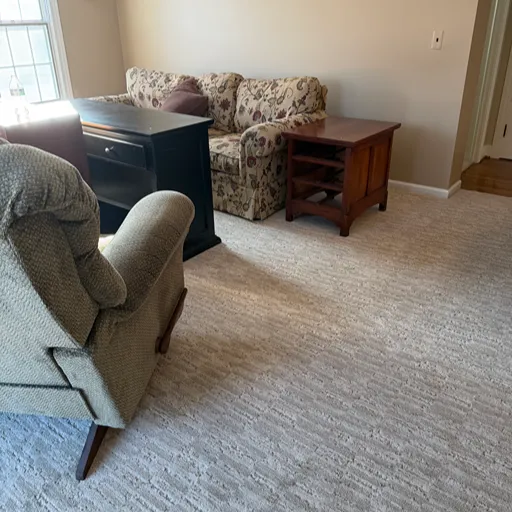 Berber carpeting in Michigan